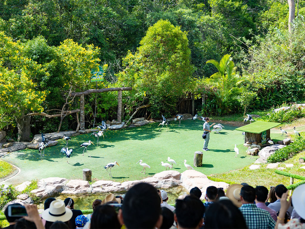 biểu diễn động vật tại Vinpearl Safari Phú Quốc